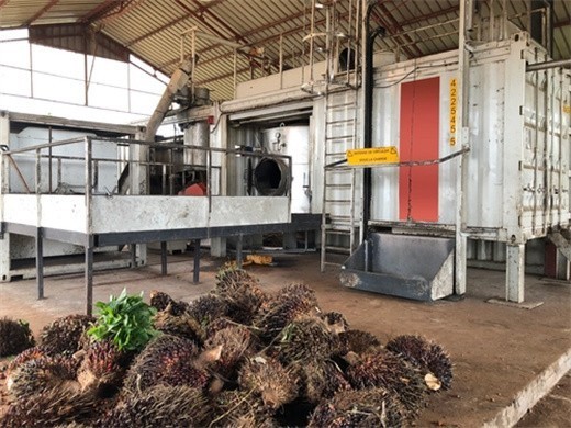huile de palme comment est-elle fabriquée usine d’huile de palme au Congo