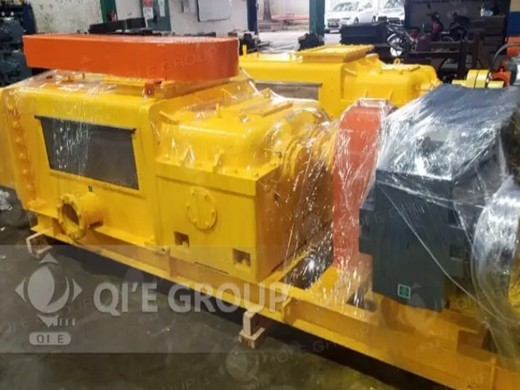 Presse à huile 300 W extracteur d’huile de noix huile de palme