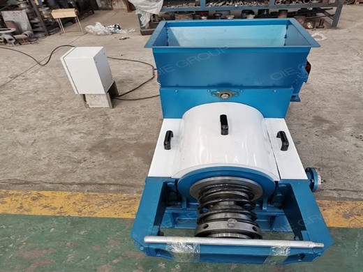 Presse à huile de palme 15 kg/h au Congo