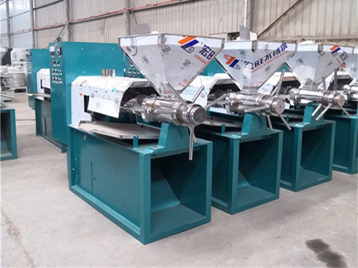 Presse à huile de noix de coco de type nouveau à vendre à Douala