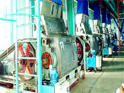 Vente à chaud de machines de moulin à huile de grande capacité au Cameroun