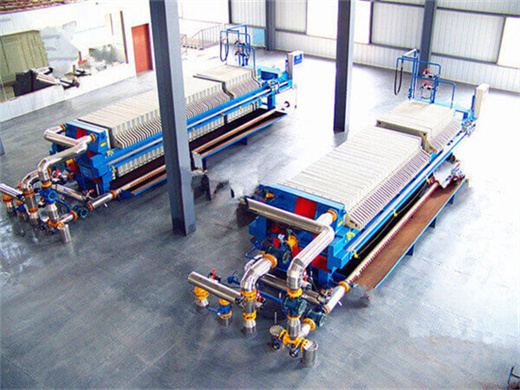 Raffinerie de huile brut pour machine de raffinage d’huile de palme comestible au Congo