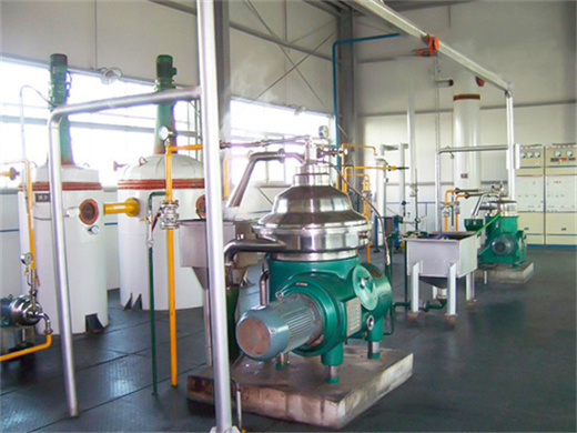 Fabrication d’une machine de raffinage d’huile de palmiste de 2 tonnes par jour à bas prix